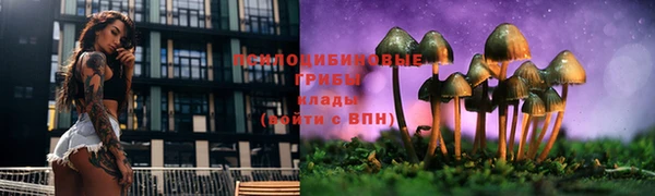 скорость Алексин