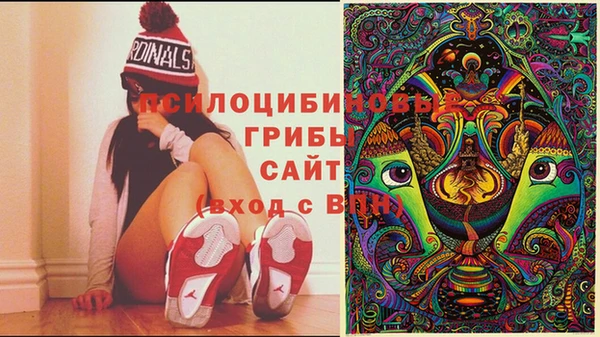 скорость Алексин
