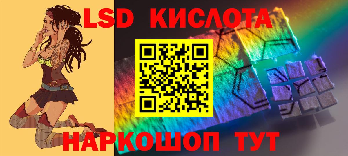Псилоцибиновые грибы Геленджик