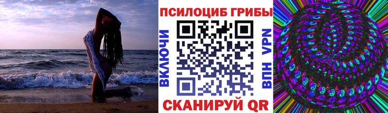 закладки  Геленджик  Псилоцибиновые грибы мицелий 