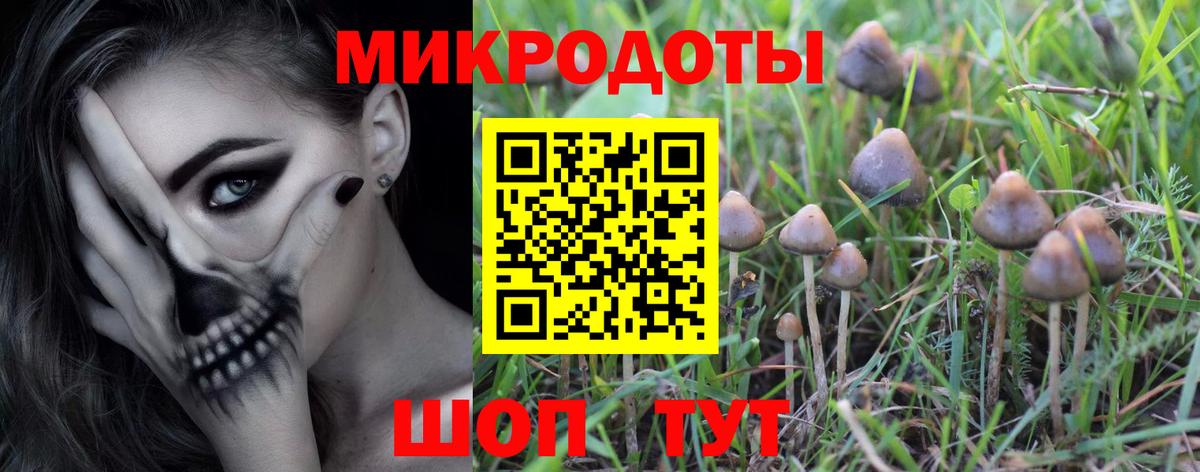 Псилоцибиновые грибы MAGIC MUSHROOMS Геленджик
